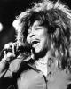 Tina-Turner-Posters